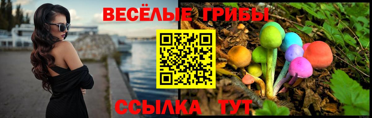 Псилоцибиновые грибы Psilocybine cubensis Белая Калитва