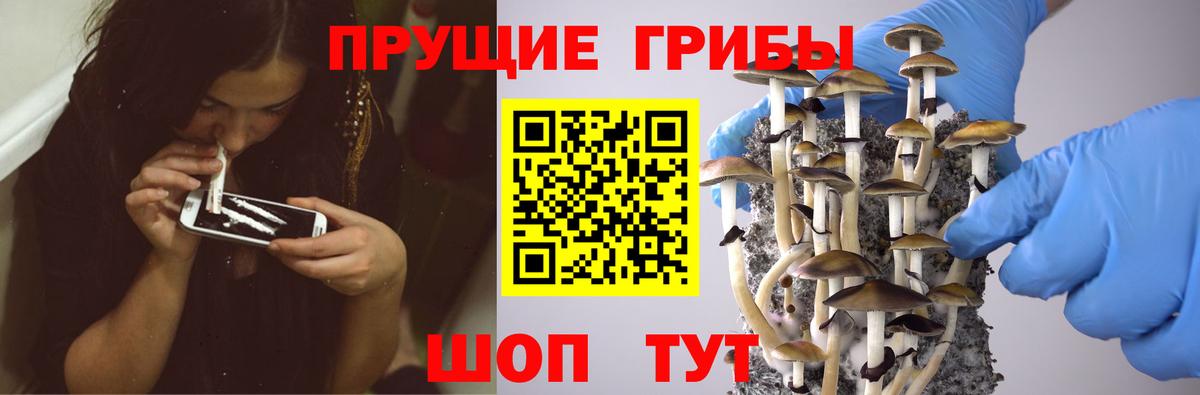 Белая Калитва  Псилоцибиновые грибы GOLDEN TEACHER  Вход с VPN 